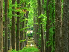 -采石矶景区