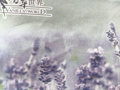 -广东花都香草世界旅游度假区