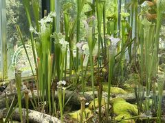 -国家植物园南园