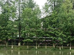 -常德桃花源景区