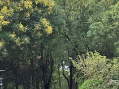 -绵阳人民公园(涪城区)