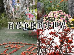 -南宁南湖公园