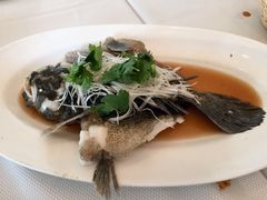 清蒸顺壳鱼-珍宝海鲜坊(樟宜NSRCC店)