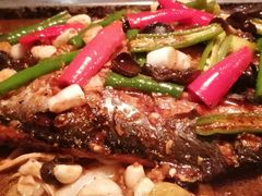 湄公鱼-炉鱼(诸暨万风新天地店)