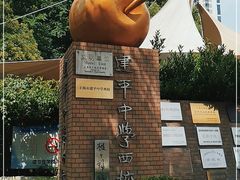 -上海市建平中学西校华城校区