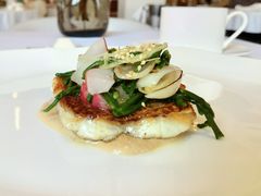 煎红鲷鱼配百合-Jean Georges