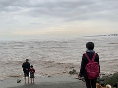 -南汇新城海滩
