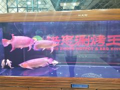 -洪忠涮烤王(嵩山路店)
