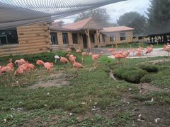 -哈尔滨北方森林动物园