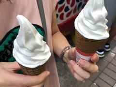 -富豪雪糕车流动点(尖沙咀店)