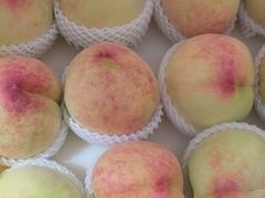 -老袁家蜜桃农场·阳山水蜜桃