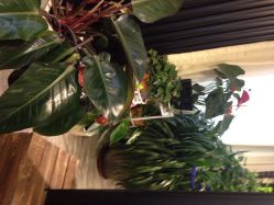 小p老师-pstyle造型(五道口梦想店)-P.STYLE 派斯造型