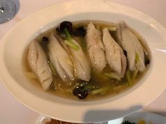 -老洋房花园饭店(绍兴路店)