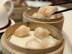 -金苑海鲜酒家(来魅力店)