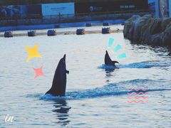 -三亚海昌梦幻海洋不夜城