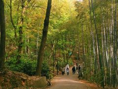 -虞山风景区
