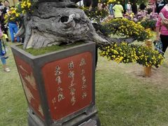 -五通灯塔公园