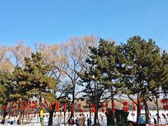 -北陵公园