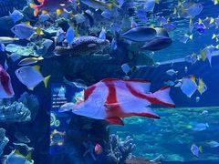 -左海海底世界