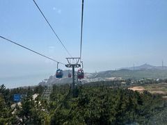 -摩天岭风景区