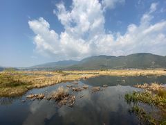 -腾冲北海湿地