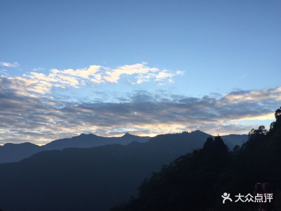阿里山祝山 - 摩羯米老鼠的相册 - 南投景点 - 大众点评网