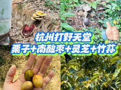 -黄公望隐居地