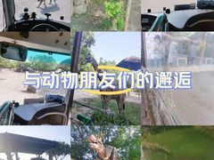 -上海野生动物园