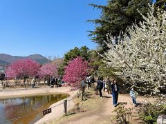 -国家植物园南园