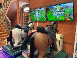 -卡通尼·Safari非洲探索乐园·生日会(金桥国际商业广场店)