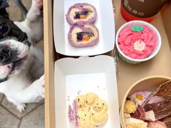 -帕帕拉兹宠物(亚洲旗舰店)