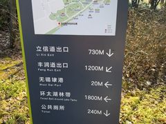 -贡湖湾湿地公园