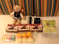 -济州岛泰迪熊博物馆