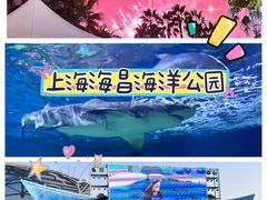 -上海海昌海洋公园