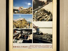 -渔娘渔家丹东海鲜(东直门店)