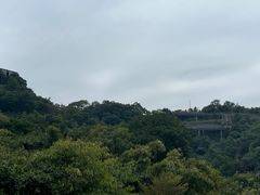 -福道