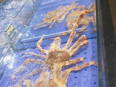 -澜小宴·锦绣江南(金沙滩店)