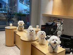-Seesaw Coffee(西岸凤巢店)