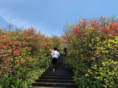 -大围山国家森林公园