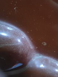 -美丽匯形象定制