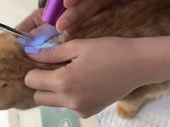 -艾贝尔宠物医院·24H转诊中心·肿瘤猫专科(江宁双龙店)