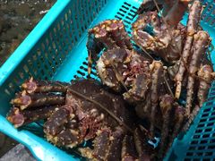 -綱元·海鲜豆捞(明州里店)