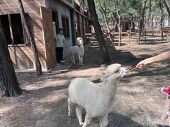 -南戴河国际娱乐中心