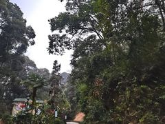 -韶关经律论国际酒店温泉