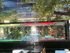 -阳光院坝小龙虾(红牌楼店)