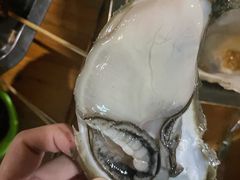 -八一湛江生蚝(文明东路总店)