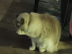 -故遥酒馆.赛事直播