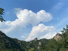 -大岭沟猕猴桃谷风景区