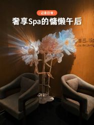 点击看大图 -iSpa