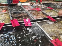 -湛江渔港·大排档(乐园路总店)
